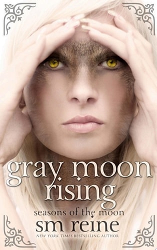 Gray Moon Rising A Paranormal Romance