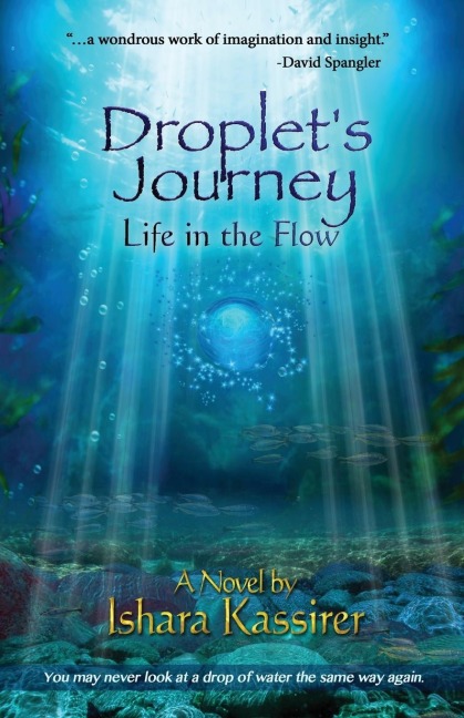 Droplets Journey: Life in the Flow