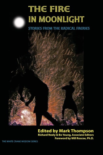 The Fire in Moonlight Stories from the Radical Faeries : 1975-2010