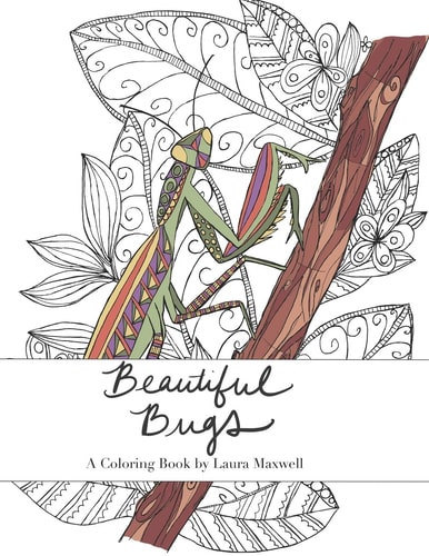 Beautiful Bugs A Coloring Book