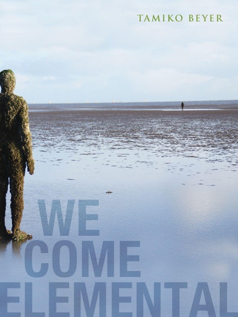 We Come Elemental