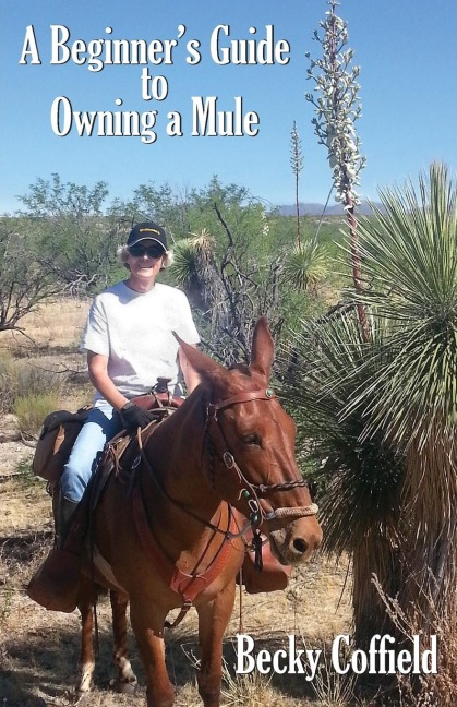 A Beginners Guide to Owning a Mule