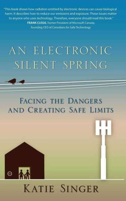 An Electronic Silent Spring: Facing the Dangers and Creating Safe Limits