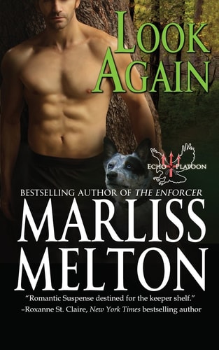 Look Again A Novella