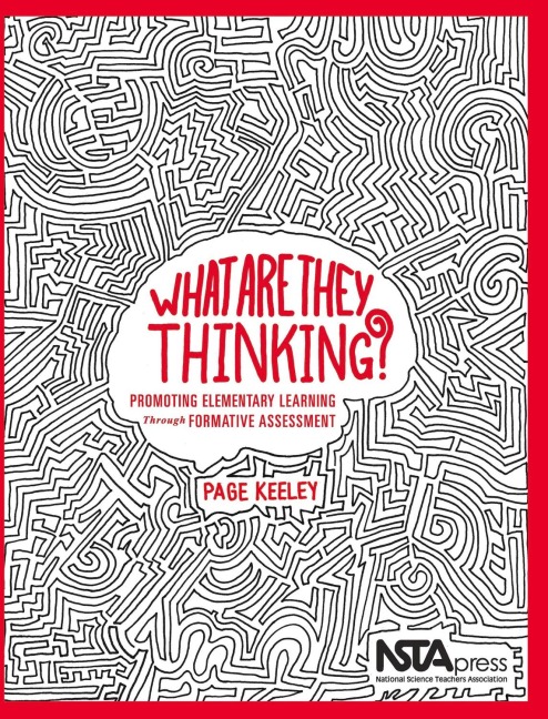What Are They Thinking?: Promoting Elementary Learning Through Formative Assessment