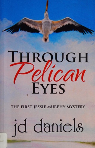Through Pelican Eyes