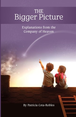 The Bigger Picture Explanations from the Company of Heaven