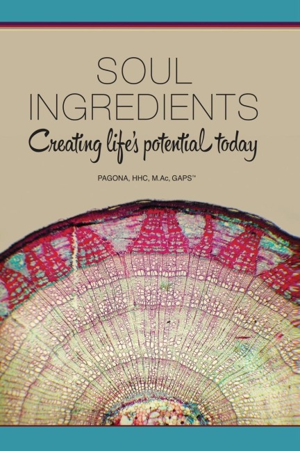 Soul Ingredients: Creating Lifes Potential Today