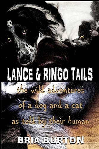 Lance and Ringo Tails The Wild Adventures of a Dog and a Cat As Told by Their Human