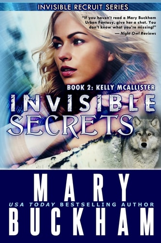 Invisible Secrets Book Two Kelly McAllister