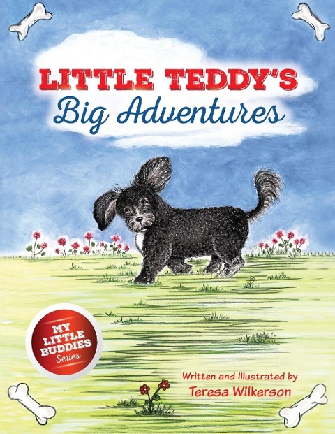 Little Teddys Big Adventures