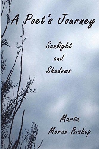 A Poet's Journey Sunlight And Shadows