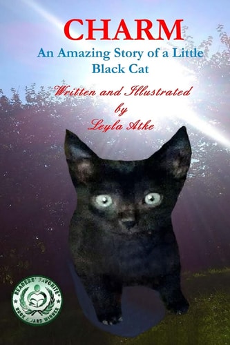 Charm An Amazing Story of a Little Black Cat