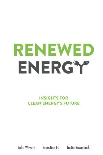 Renewed Energy Insights for Clean Energy's Future