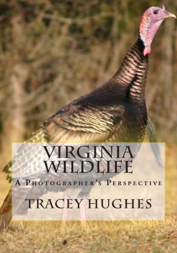 Virginia Wildlife A Photographer's Perspective