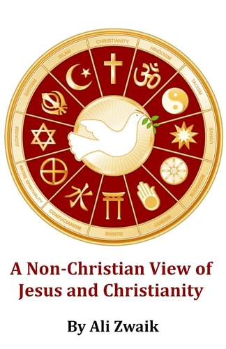 A Non-Christian View of Jesus and Christianity Large Print Edition