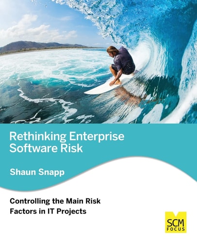 Rethinking Enterprise Software Risk Controlling the Main Risk Factors on It Projects