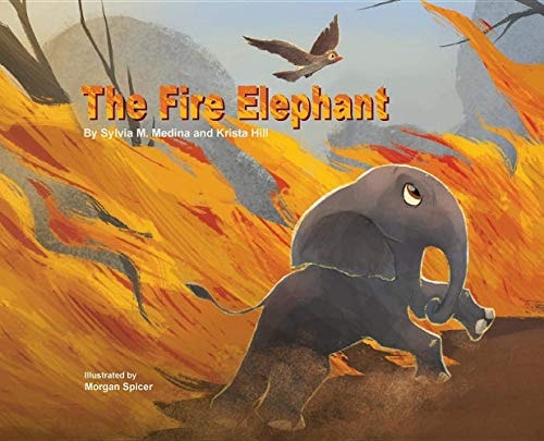 Molelo the Fire Elephant Moleo the Baby Elephant Gets Caught Up in an African Bush Fire and Gets Saved by Elephants Without Borders