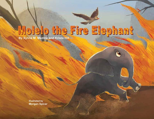 Molelo the Fire Elephant Moleo the Baby Elephant Gets Caught Up in an African Bush Fire and Gets Saved by Elephants Without Borders