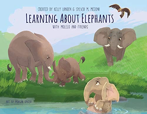 Learning about Elephants - Paperback Environmental Heroes Series