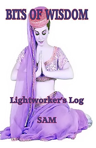Bits of Wisdom Lightworker's Log