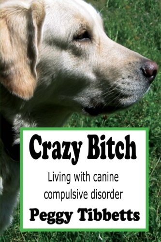 Crazy Bitch