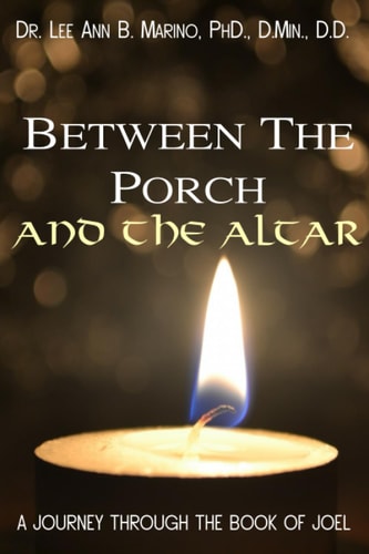 Between The Porch And The Altar A Journey Through The Book Of Joel