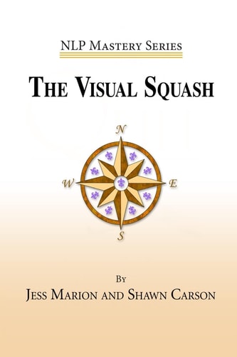 The Visual Squash An NLP Tool for Radical Change