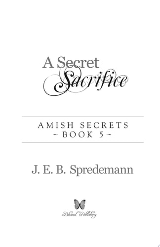 A Secret Sacrifice (Amish Secrets #6)