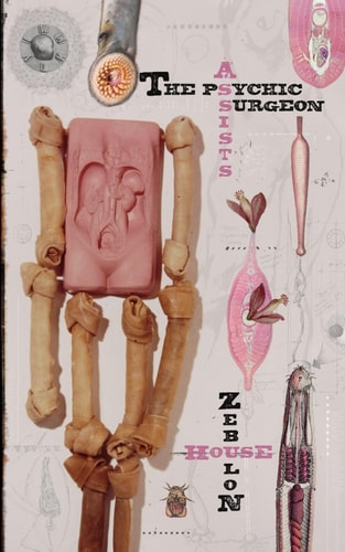 The Pyschic Surgeon Assists