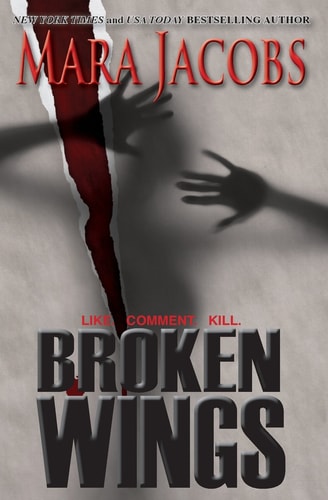Broken Wings Blackbird & Confessor, Book 1