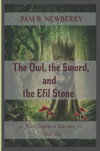 The Owl, the Sword, & the Efil Stone The Chronicles of Eldershire - Book One