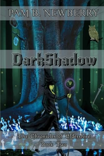 DarkShadow The Chronicles of Eldershire - Book Two