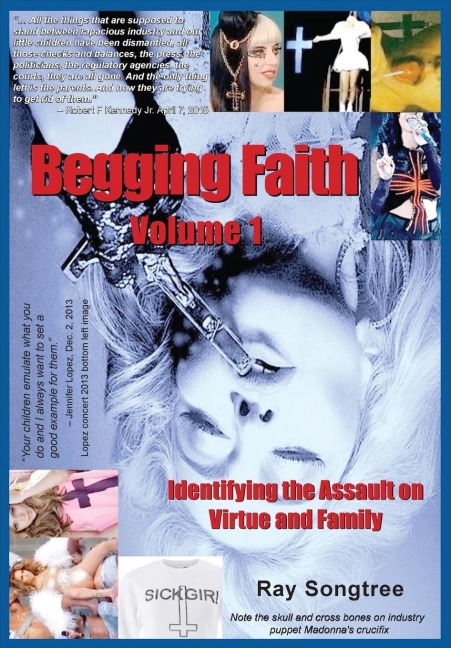 Begging Faith  (Vol. 1, Lipstick and War Crimes Series): Identifying the Assault on Virtue and Family
