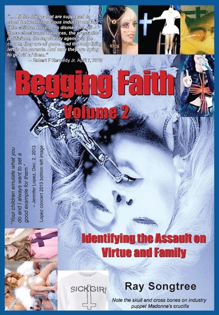 Vol. 2 Begging Faith: Identifying the Assault on Virtue and Family