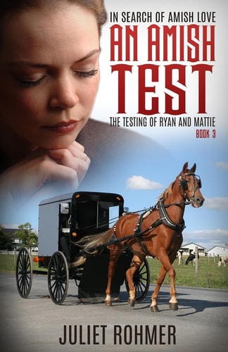 An Amish Test The Testing of Ryan and Mattie