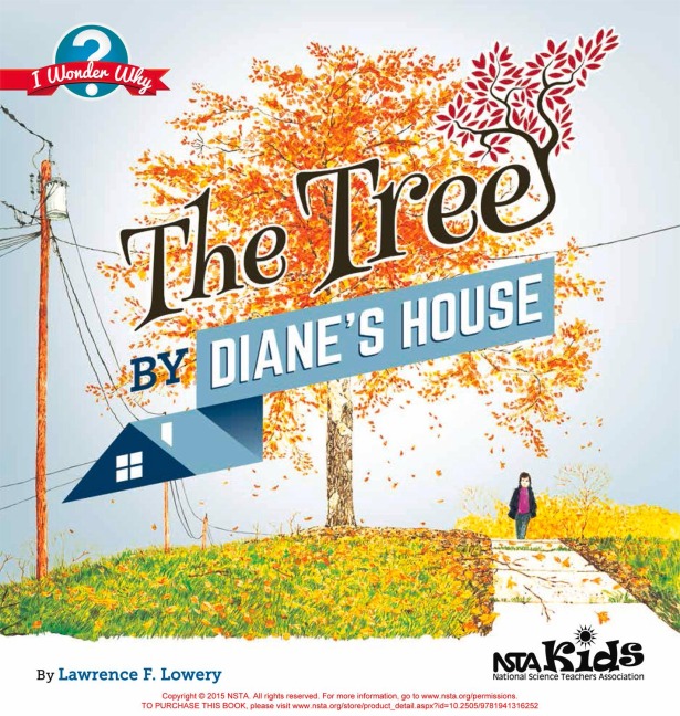 The Tree by Dianes House: I Wonder Why