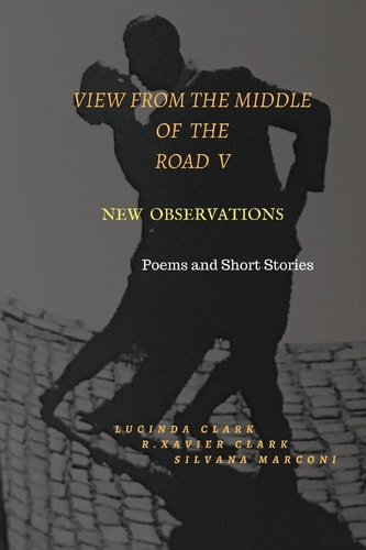 View from the Middle of the Road V New Observations