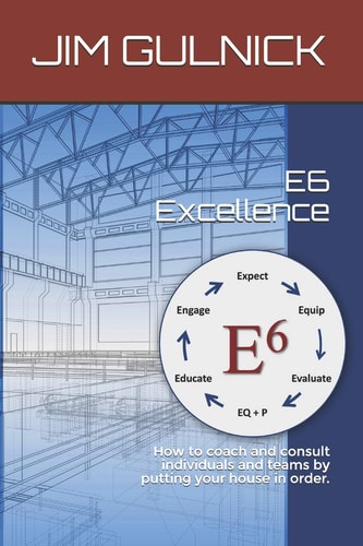 E6 Excellence How to Coach and Consult Individuals and Teams by Putting Your House in Order.