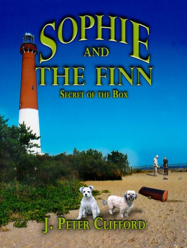 Sophie and The Finn Secret of the Box