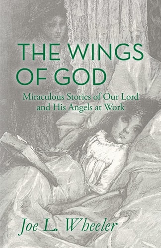 The Wings of God Miraculous Stories of Our Lord and His Angels at Work
