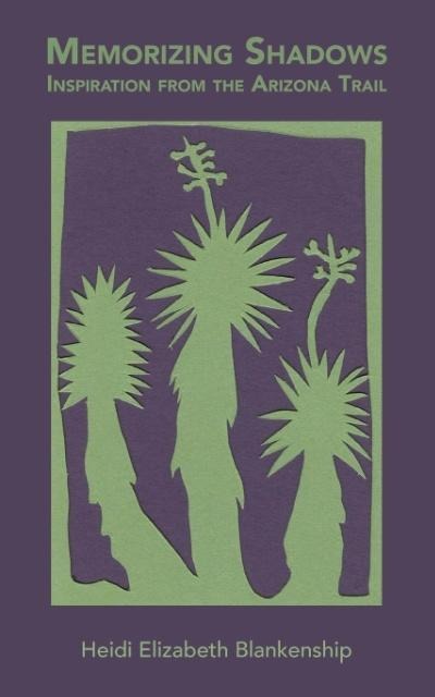 Memorizing Shadows: Inspiration from the Arizona Trail