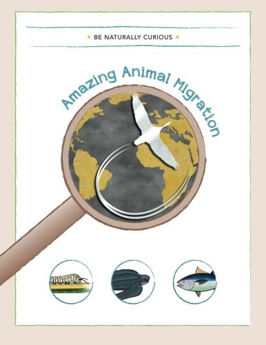 Amazing Animal Migrations
