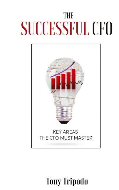 The Successful CFO