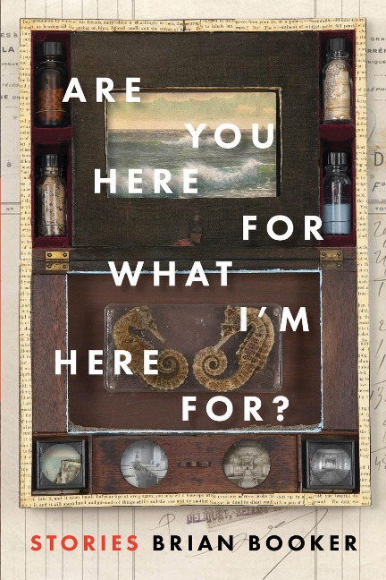 Are You Here for What Im Here For?