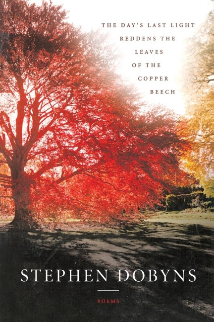 The Days Last Light Reddens the Leaves of the Copper Beech