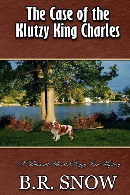 The Case of the Klutzy King Charles