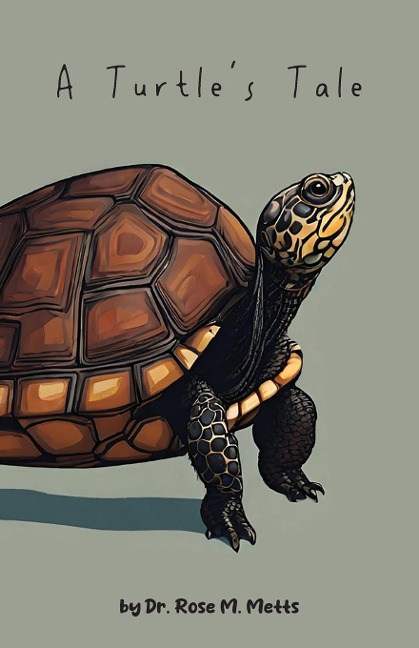 A Turtles Tale
