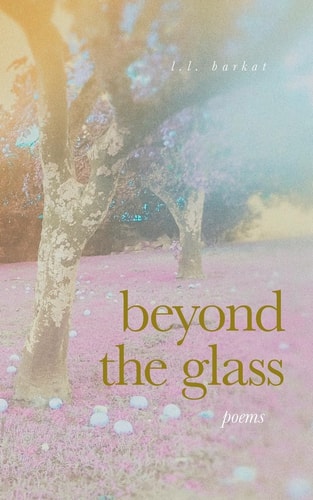 Beyond the Glass Poems