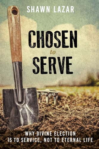 Chosen to Serve Why Divine Election Is to Service, Not to Eternal Life